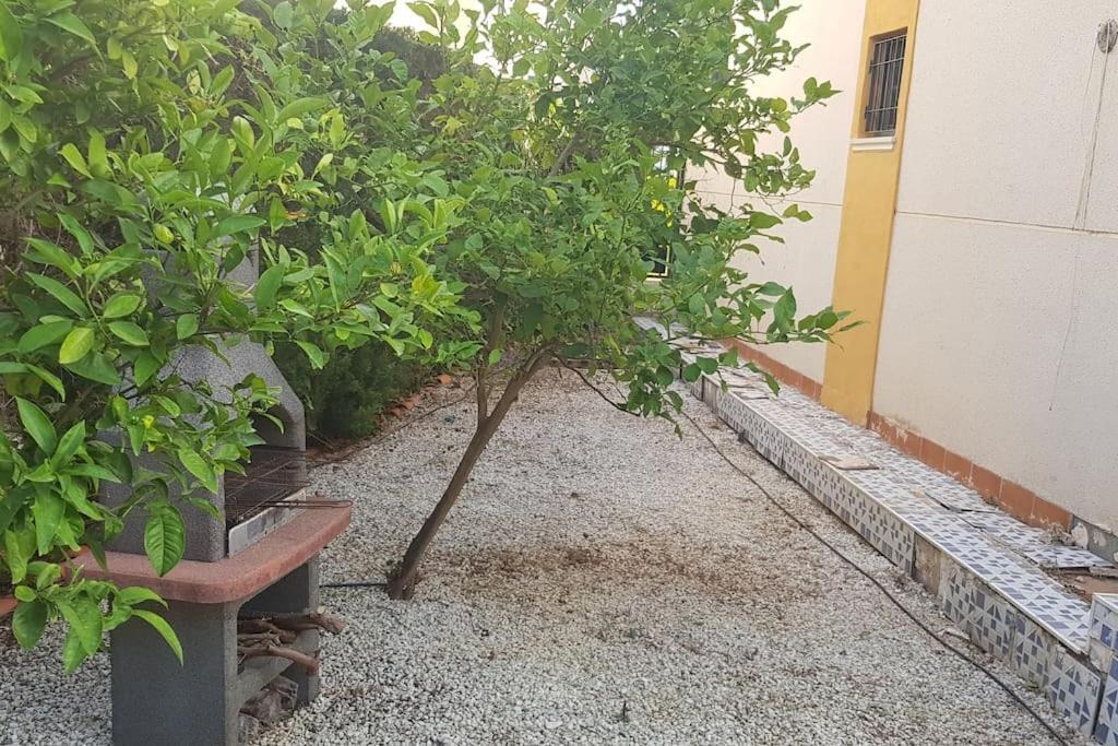 Punta Prima Bungalow Jardin Privado ตอร์เรเวียคา ภายนอก รูปภาพ